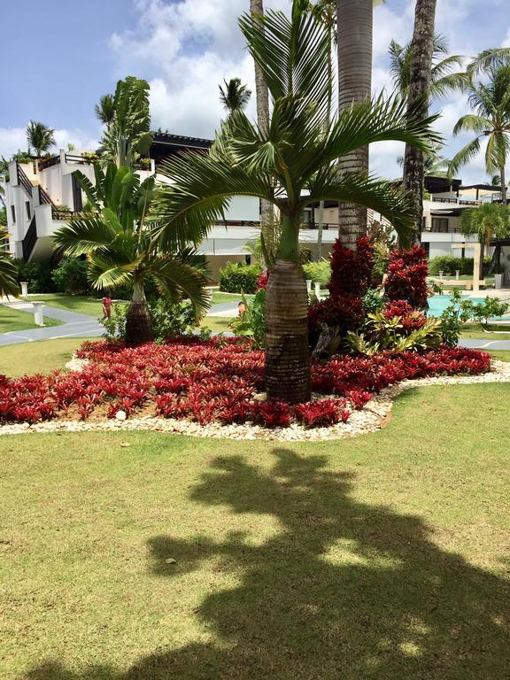 Aligio Beachfront Paradise Las Terrenas Exterior photo