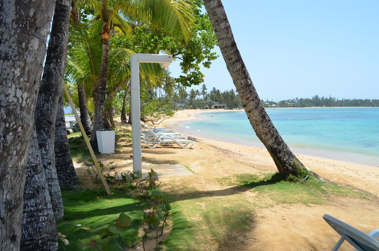 Aligio Beachfront Paradise Las Terrenas Exterior photo